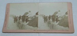 CHILCOOT PASS Alaska | *Schlittenhunde Schürfer* Kilburn Stereoansicht Foto - Bild 1 von 3