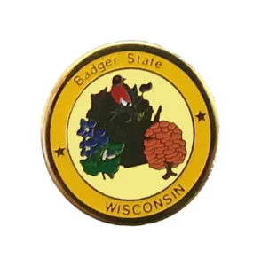 Wisconsin Pins Wisconsin State Lapel Pin Collector Travel Souvenir WI Hat Pin - Picture 1 of 4