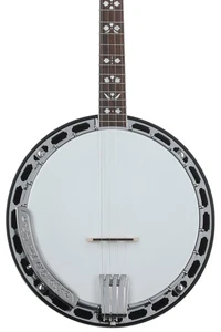 Gold Tone PS-250 Plectrum Special 4-string Resonator Banjo - Vintage Brown High - Picture 1 of 8