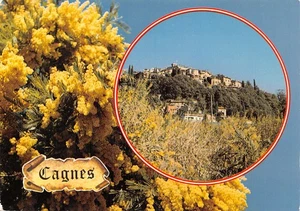 06 CAGNES - Picture 1 of 2