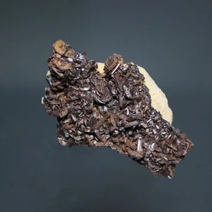 LIMONITE pseudomorph of MARCASITE, Columbia Co. Wisconsin #4966 - Picture 1 of 5