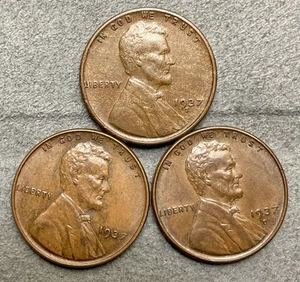 1937-p 1937-D 1937-S ~ Lincoln Wheat Cents - High Grade (3 Coins) ~ A251 - Picture 1 of 8