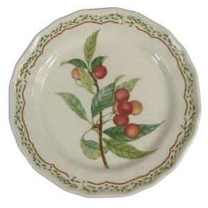Noritake Gourmet Harvest 7941 Salatteller mehrfarbig Obst Freizeit - Bild 1 von 4