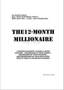 Millionnaire 12 mois - Vincent James - Original 300+ - Photo 1 sur 1