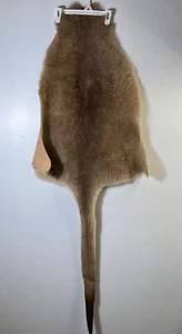 Tappeto pelliccia pelle di canguro lavabile marrone 61" a punta coda non usato - Foto 1 di 7