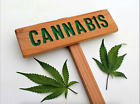CANNABIS Sign Marijuana Marker Grow Room Sign Garden Art Indoor Decor BRAND NEW 
