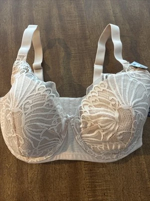 Nuevo con etiquetas Sujetador Felina Paramour Beige Encaje Con Aros Talla 34G 34 G Con Aros  Foto 1 de 4