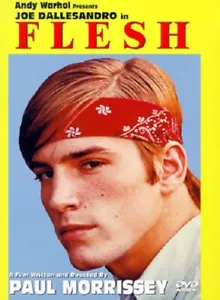 Flesh DVD (1970 Paul Morrissey) Joe Dallesandro Maurice Braddell Snapcase - Picture 1 of 1