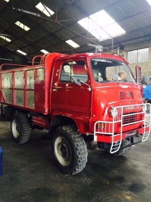 RENAULT SINPAR CASTOR 4 X 4, der französische Unimog, Party-Truck-Ausbau - Bild 1 von 4