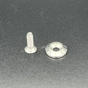 Polished Washer and M6 bolt 19mm length - Stainless Steel - (quantity 16) - Picture 1 of 3