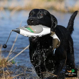 AVERY GREENHEAD GEAR GHG DOG TRAINING ATB EZ BIRD PINTAIL DUMMY BUMPER - Picture 1 of 7