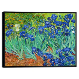 Irises by Van Gogh Fine Art Painting Reproduction Canvas Print Picture Framed - Picture 1 of 6
