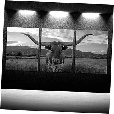  Impresiones artísticas de animales de granja y ganado blanco de las tierras altas con cuernos largos negro Foto 1 de 4