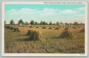 Salina Kansas ~ Landwirtschaft & Landwirtschaft ~ Sind es Weizenstapel oder -pfähle? PC von 1929 - Bild 1 von 2