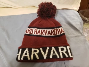 Gorro Harvard Pom Tejido Gorra Adulto OSFM - Imagen 1 de 6