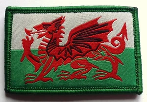 WELSH WALES CYMRU FLAG - with backing strip BIKER MOTORCYCLE PATCH 70mm x 45mm - Picture 1 of 1