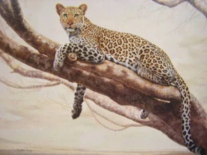 Charles Frace afrikanischer Leopardenbaumzweig Mini-Kunstdruck - Bild 1 von 1