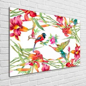 Glas-Bild Wandbilder Druck auf Glas 100x70 Deko Tiere Exotische Vögel - Bild 1 von 6