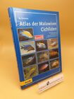 Atlas Der Malawisee Cichliden  Band 3 Alle Aktuellen Namen Und Varianten Von A