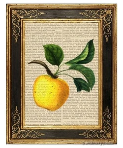 Yellow Apple Art Print on Vintage Book Page Garden Fruits Home Kitchen Decor - Picture 1 of 3