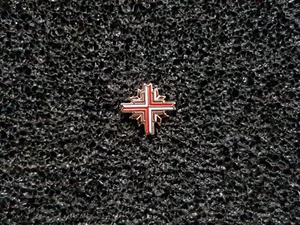 (C12) Europakreuz Europa Kreuz Pin Knopflochpin - Picture 1 of 2