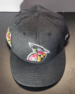 New Era Delmarva Shorebirds Hat Cap Men's Fitted 7 7/8 Maryland Flag Black MiLB - Picture 1 of 8