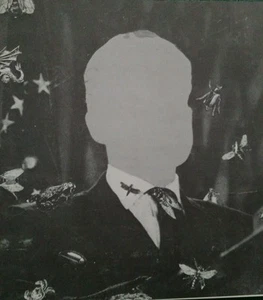 Vintage The Nixon Poems by Eve Merriam (1970, Hardcover) 1st Edition Used - Picture 1 of 8