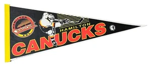 Rare Vintage 1992 - 1994 Hamilton Canucks Defunct AHL Hockey Team Pennant Early - Picture 1 of 3