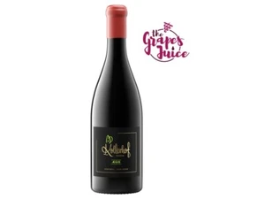 KOLLERHOF PINOT NERO AEGIS 2019 VINO ROSSO SUDTIROL ALTO ADIGE DOC - Imagen 1 de 1