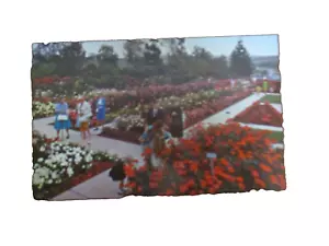 Unposted Postcard Pageant of Roses Garden Whittier Calif Rose HIlls Memorial Par - Picture 1 of 3