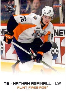 2023/24 Flint Firebirds - NATHAN ASPINALL - Picture 1 of 2