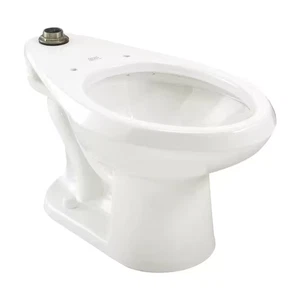 Madera Flowise Elongated Toilet Bowl Only in White - Bild 1 von 12