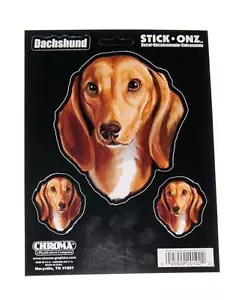 Pet Dachshund Dog Puppy Decal for Window, Locker, Notebook, Mirror, Car, Truck - Picture 1 of 1