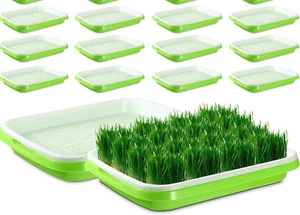 12 Complete Seed Sprouter Tray with Drain Holes Nursery Tray Microgreens Growing - Picture 1 of 8