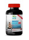 Colostrum - Muscle Builder XXL 1500mg - Potency Tonic Supplement 1B