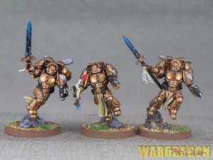 Warhammer 40K WDS painted Blood Angels SANGUINARY GUARD y5 - Picture 1 of 7