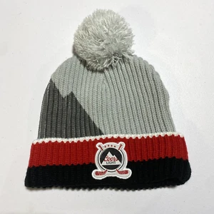 Coors Light Detroit Red Wings Adult Beanie Gray Knit Poof Ball NHL Hat Cap - Picture 1 of 4