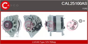 ALTERNATORE CASCO CAL25100AS - Imagen 1 de 1