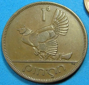 Ireland 1 Penny Coin 1950 nice grade, Hen + Chicks & Harp, 30.9 mm, Combined S/H - Picture 1 of 4