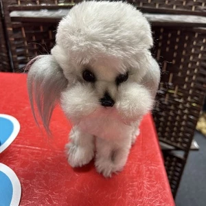 Bichon Frise Realistic Stuffed Dog Plush Toy by Pascal Kamar 1968 Dominique 3834 - Picture 1 of 10