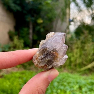 31G Rare SMOKY PHANTOM SPIRIT QUARZ Fairy Cactus Crystal Mineral Cluster - Bild 1 von 12