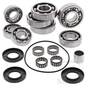Kit de réparation de différentiel complet pour Polaris Scrambler 500 4WD # 01-12 - Photo 1/1