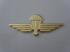 C11)  Military Parachutist Badge Fallschirmspringer Abzeichen  Airborne SCHWEIZ
