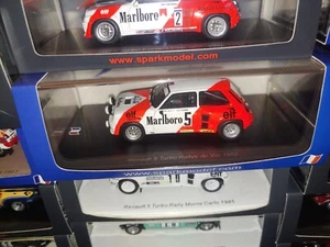 Spark SF197 RENAULT 5 A.PROST - Rally Du Var 1982 1:43 (Decals Tobacco Applied) - Foto 1 di 10