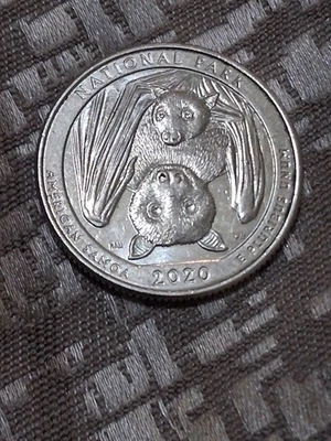 P Quarter American Samoa Bat Nat Park 2020 raro doble matriz error inverso 7021 Foto 1 de 2