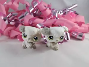 Littlest Pet Shop White And Grey Poodle Puppy Dogs #203 #204 Green Eyes - Picture 1 of 3