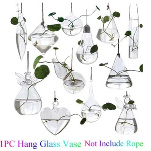 Creative Hydroponics Hanging Glass Terrarium Container Glass Vase Plant Pot - Picture 1 of 22