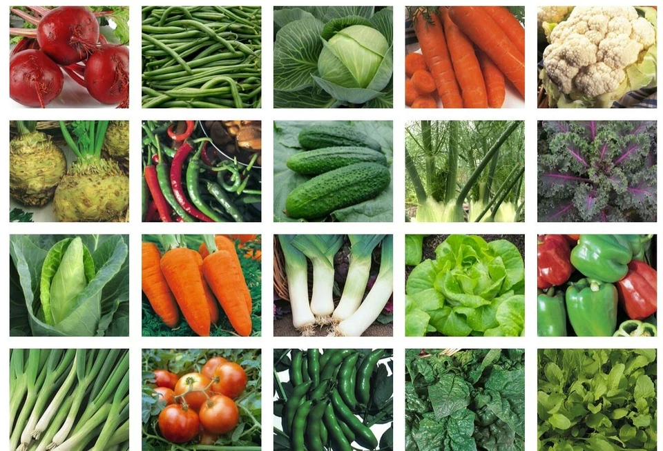 Vegetable Seeds for Planting UK Lettuce Cabbage Carrot Pea Tomato 100+ Options - Image 1 of 1