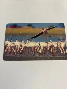 carta telefonica 100 Units Delta Card (fake) Animali Fenicottero 26/40 - Picture 1 of 1