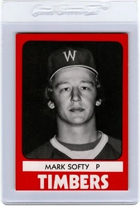 TCMA Wausau 1980 madera #9 Mark Softy Hyde Park Nueva York - Imagen 1 de 2